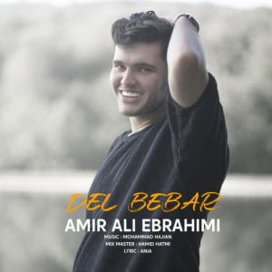 دانلود آهنگ جدید امیر علی ابراهیمی به نام دل ببر